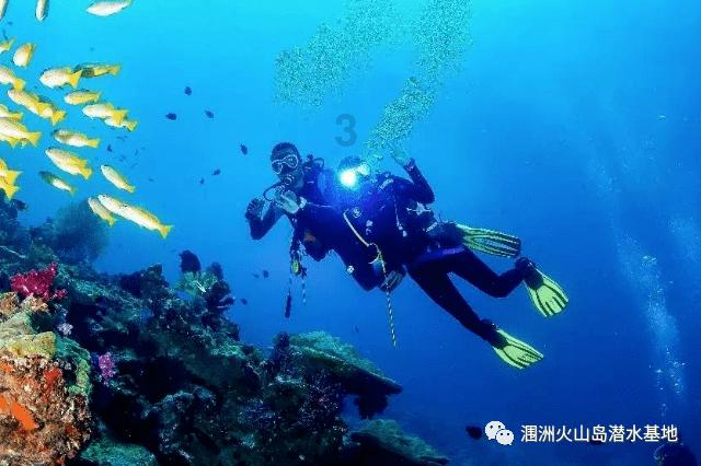 解疑答惑,畅游问答世界,尽在凭观察就是主动行为吗?!